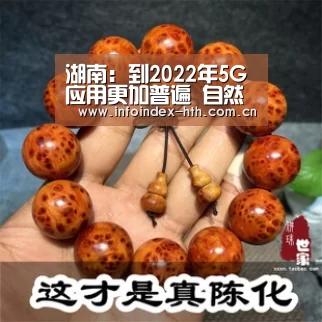 湖南：到2022年5G应用更加普遍 自然村光纤通达率达到70