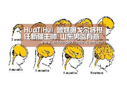 HuaTiHui_鲁媒曝戈尔将担任新疆主帅 山东男篮有意李秋平(图3) 华体会